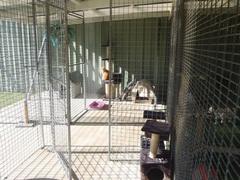 Batemans Bay Cattery