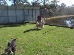 Batemans Bay Kennels