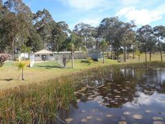 Batemans Bay Cattery